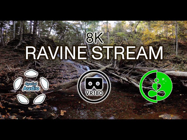 RAVINE STREAM & Waterfall | 8K VR180 | Spatial Audio for Ultimate Nature Experience