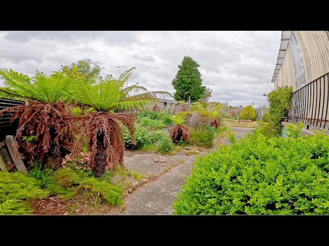 Tenants Create Garden NIGHTMARE (But we made the LANDLORD SMILE)!