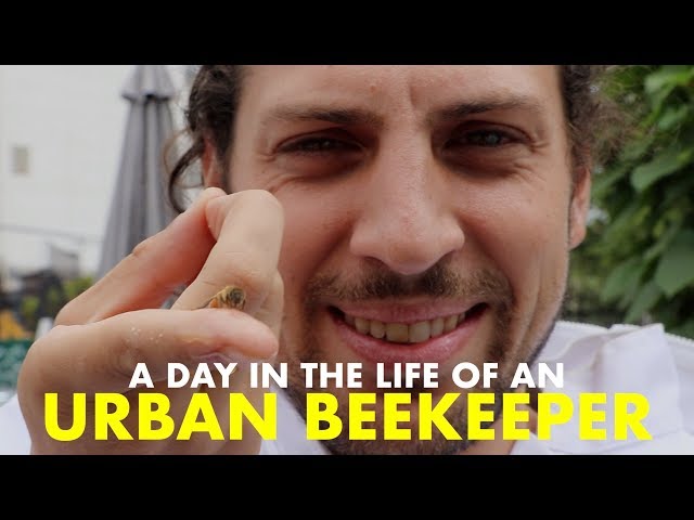 Day in the Life of an URBAN BEEKEEPER??