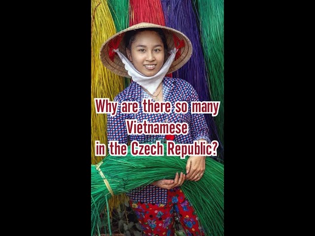 Why Are There So Many Vietnamese in the Czech Republic? #Shorts