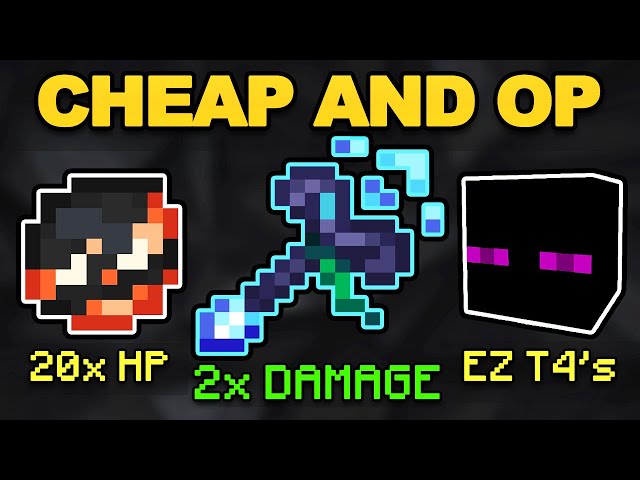 New Cheap And OP Meta | Hypixel Skyblock