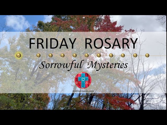 Friday Rosary • Sorrowful Mysteries of the Rosary 💜 November 22, 2024 VIRTUAL ROSARY - MEDITATION