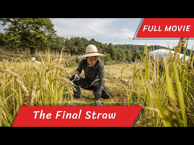 The Final Straw | English Full Movie | Short