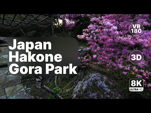 Japan Hakone Gora Park - Relaxing Music Virtual Walk 8K 180 3D