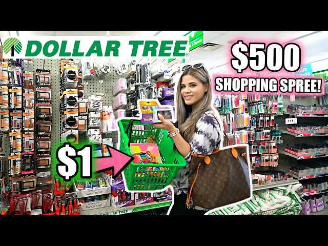 DOLLAR TREE GIRLY $500 SHOPPING SPREE! *I BOUGHT 500 THINGS*