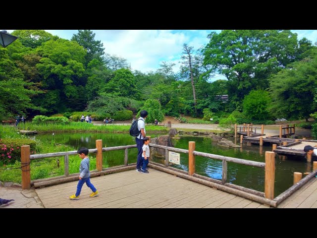 【Park Walk】Walking Tetsugakudō Park, Tokyo, Japan / May 2020