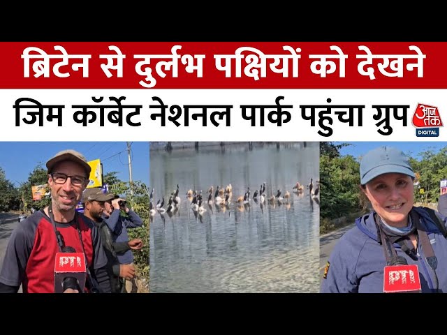 Jim Corbett National Park पहुंचा Britain से आए वन्यजीव प्रेमियों का ग्रुप | Uttrakhand | Aaj Tak