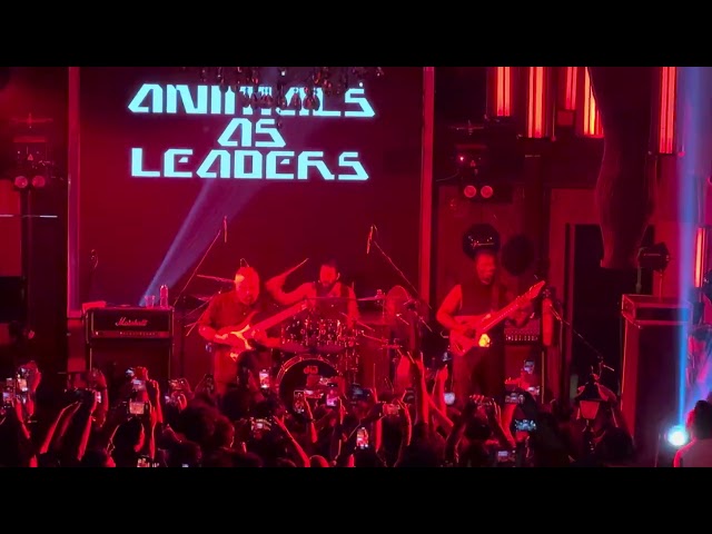 Animals as Leaders - Physical Education [LIVE] in Kolkata