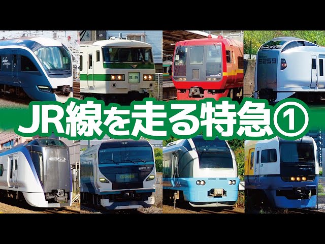 15種類の特急車両が走り抜ける！JRを走る特急電車だらけの15分【電車好き子ども向け】