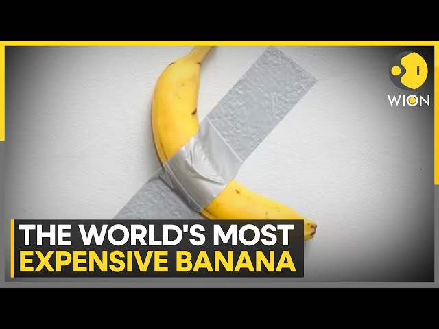 Duct-Taped Banana On A Wall Sold For $6 Million | World News | WION