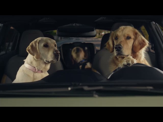 Puppy Barkleys Road Trip Tunes | Subaru Dog Tested TV Commercial