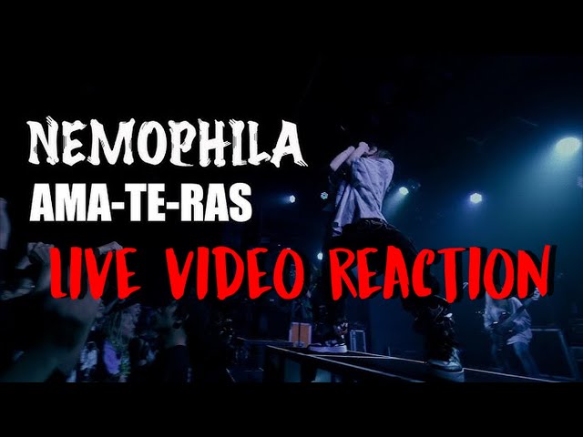 EASILY My Favorite Song So Far | NEMOPHILA / AMA-TE-RAS Live REACTION