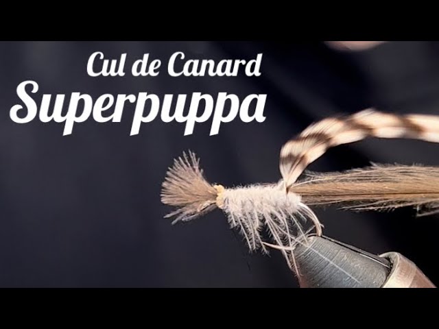 CDC Superpuppa | Flugbindning | Svenskaflugor.se