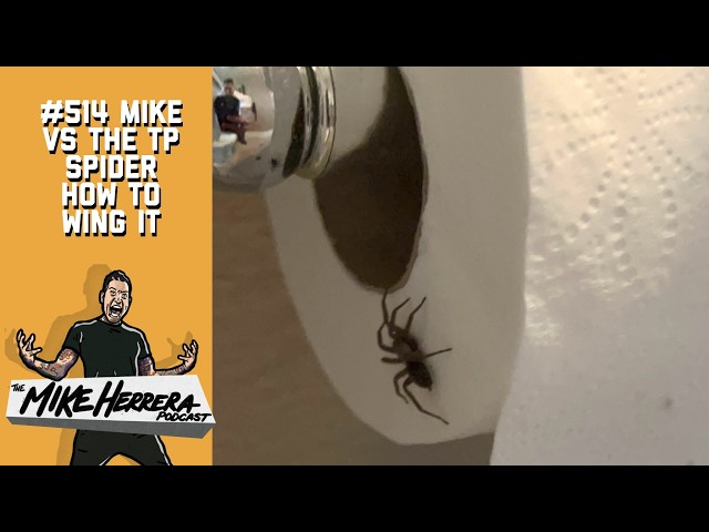 #514 Mike Vs the TP Spider - How to Wing It