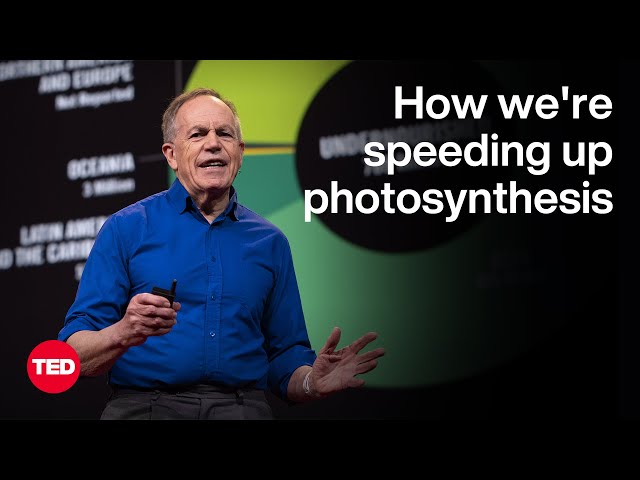 Can We Hack Photosynthesis to Feed the World? | Steve Long | TED