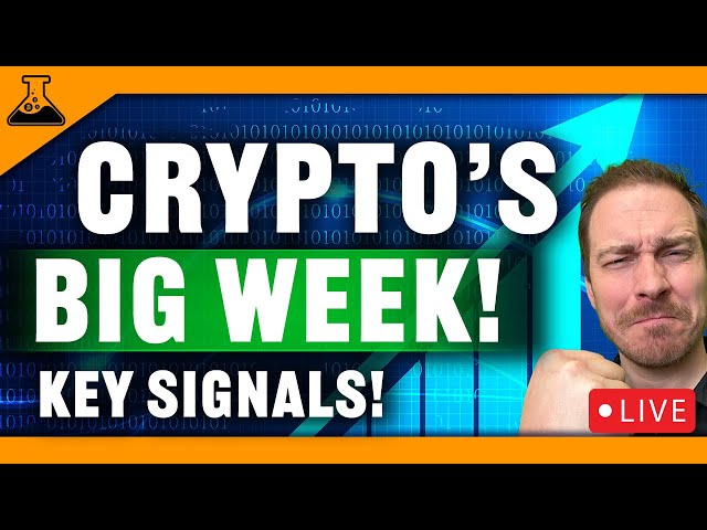 Urgent Bitcoin & Crypto Signals (Chop Traps & Next Pump Signal Is Here!)