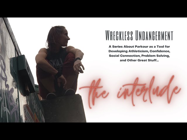 Wreckless Undangerment: The Interlude