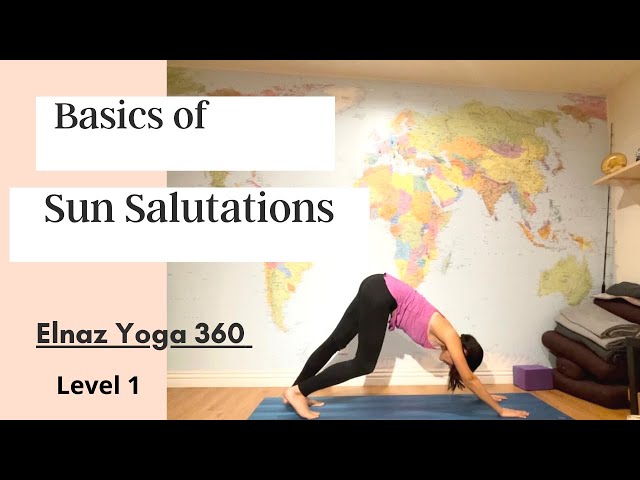 Basics of Sun Salutations |Elnaz Yoga 360 |Yoga for Begginners