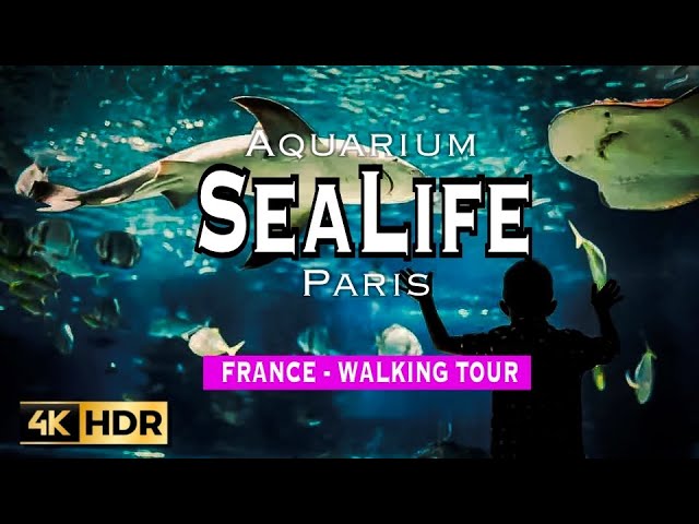 SEA LIFE Paris Aquarium at Val d'Europe, Paris, France - Walking Tour 4K HDR with Caption