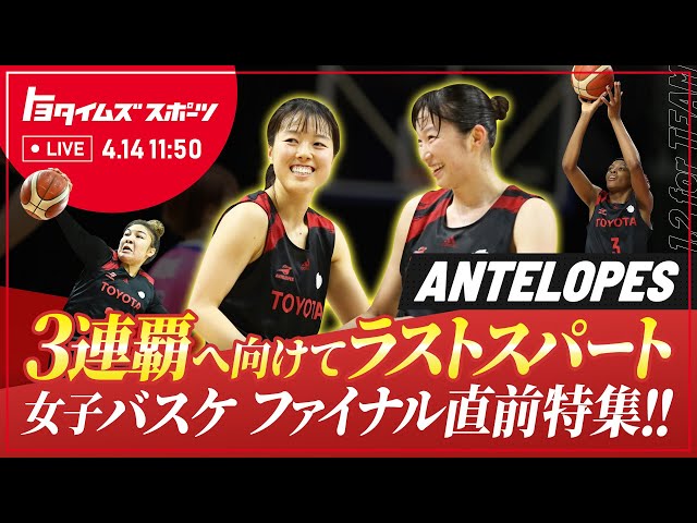 アンテロープス Wリーグ3連覇へ向けてラストスパート！プレーオフ ファイナル直前特集！｜トヨタイムズスポーツ