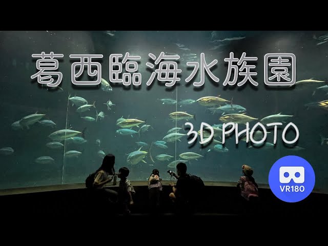 [3D VR180]  葛西臨海水族園