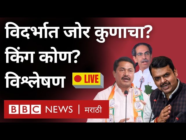 Maharashtra Election Live : Exit Poll नुसार Vidarbha मध्ये कुणाचं पारडं जड? कौल कोणाला?