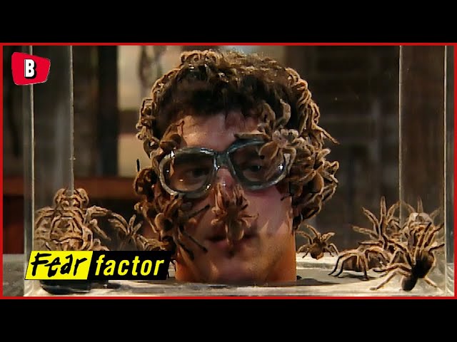 Fear Factor contestant has head placed in box of TARANTULAS 😱