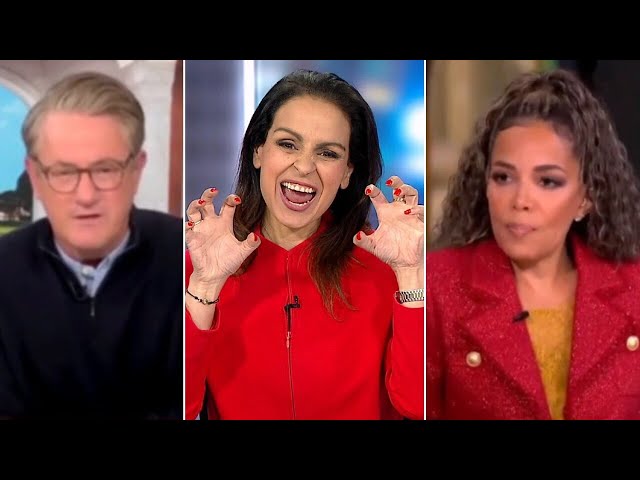 Lefties losing it: Catfight as The View host attacks MSNBC