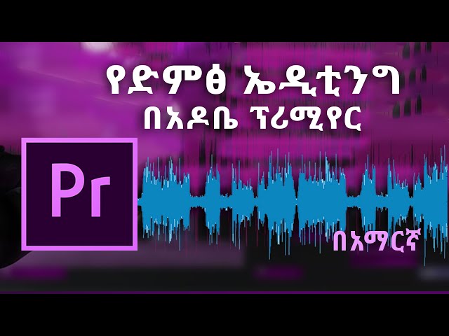 የድምፅ ኤዲቲንግ በአዶቤ ፕሪሚየር | Audio Editing for Beginners | Learn Premiere Pro 2020 in 15 minutes!