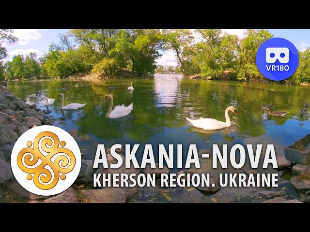 VR180 3D. Biosphere reserve Askania-Nova