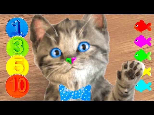 SPECIAL LITTLE KITTEN ADVENTURE MEOW - CARE FOR THE KITTEN AND SPECIAL ADVENTURE JOURNEY EPISODE #2