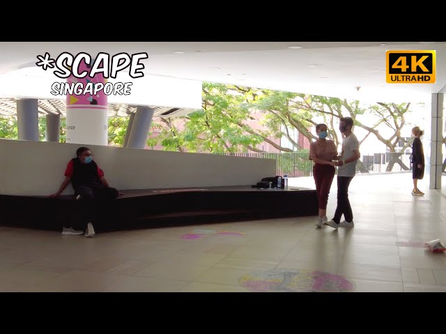 *SCAPE in Orchard | Singapore Virtual Walking Tours | Mar 2022 [4K]