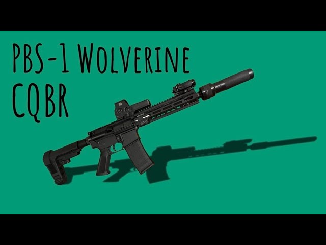 PBS-1 Wolverine on an AR