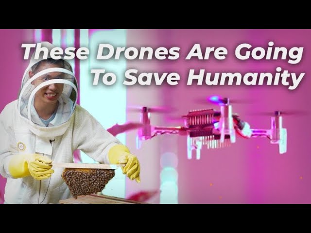 Can drones save the human race by enhancing food security? | Portraits of Purpose