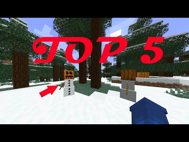 TOP 5 ZAJÍMAVÉ VĚCI - v minecraftu /R-two