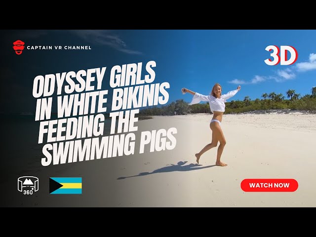 Odyssey girls in white bikinis feeding the swimming pigs of Exuma part 5