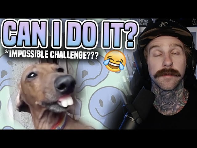 Try Not To LAUGH Challenge | RichoPOV Reacts