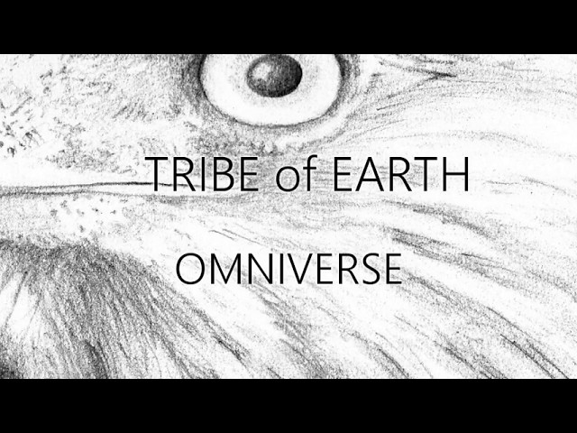 Mark Christopher Garrett - Omniverse