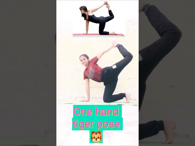 One hand tiger pose 🐯 #yogachallenge #yoga #ytshort #short #yogabalance #viralvideo #motivation #seo