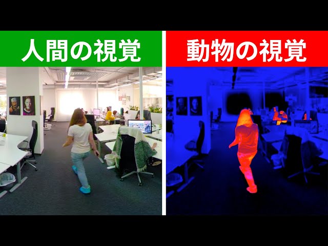 有名キャラクターの目を通してみた世界|３６０度動画