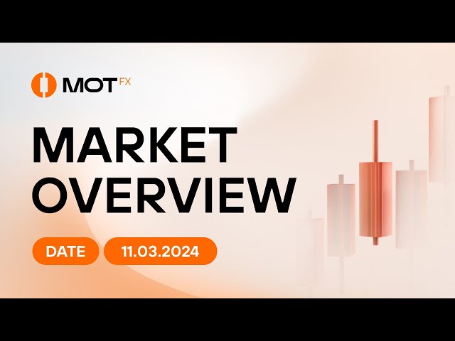 Market Overview 2024.11.03 - USA Election, CPI Week!