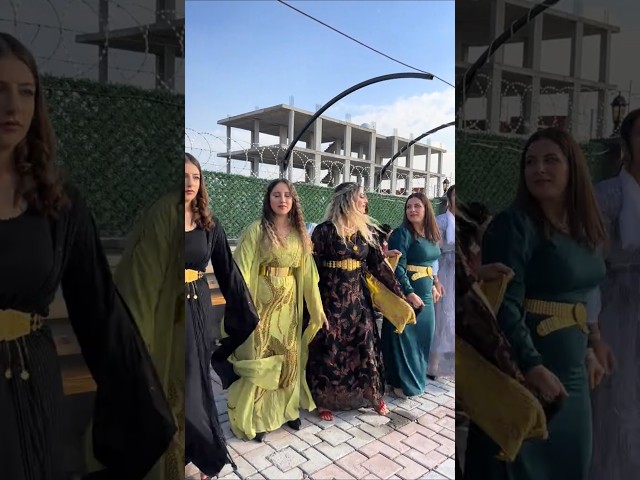 Kurdish Dance Kurdish Culture Kurdish Folklore #shorts #shortvideo #youtubeshorts