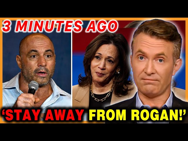 Douglas Murray Terrifying WARN: 'Joe Rogan will STICK THE DAGGER in Kamala Harris'