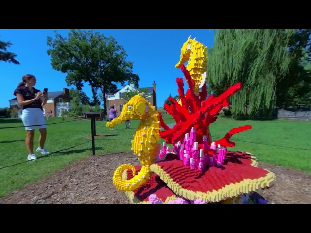 Lego Animal Sculptures of Nature Connects Exhibition Part 2 3D 180 VR