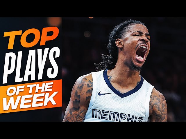 NBA's Top Plays of Week 9 | 2023-24 Season