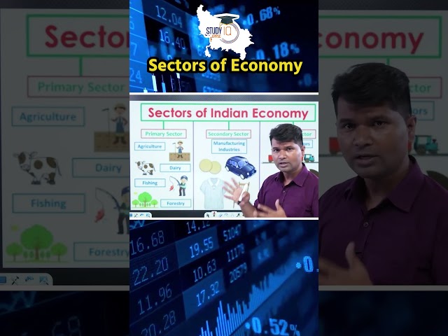 Sectors of Economy, (Primary, Secondary & Tertiary Sectors) #economic #uppscprelims