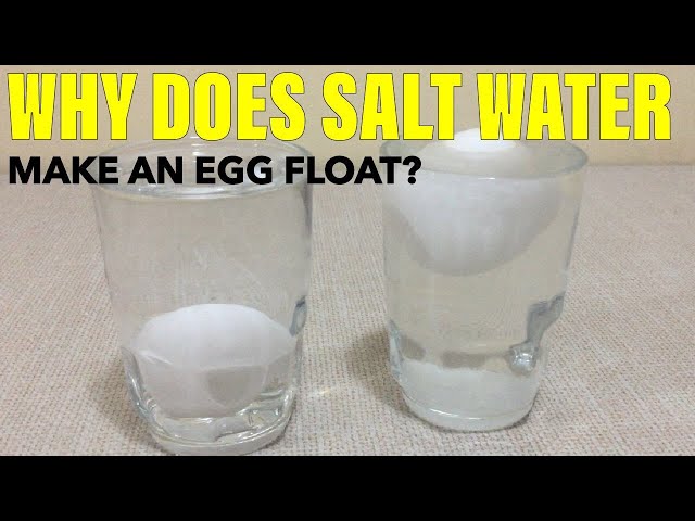 WHY DOES SALT WATER MAKE AN EGG FLOAT? | BUOYANCY |JamHomeScience Experiment