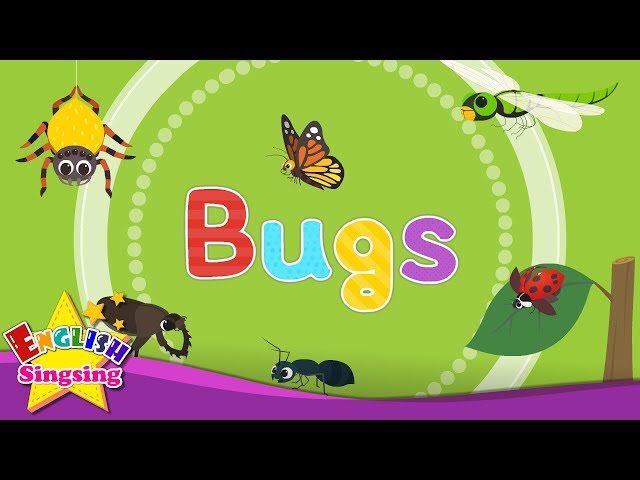 Kids vocabulary - Bugs - Learn English for kids - English educational video