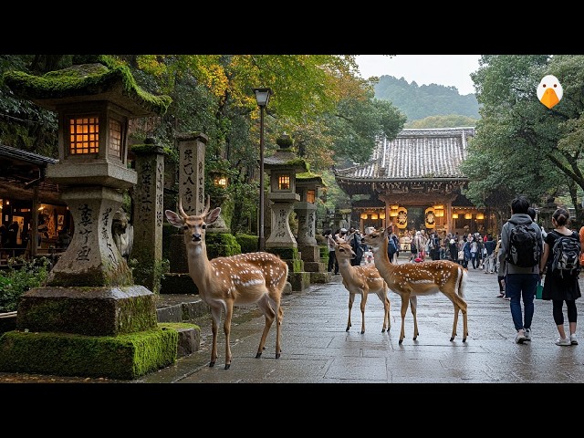 Nara, Japan🇯🇵 Discover the Magical City Where Deer and Temples Coexist (4K UHD)