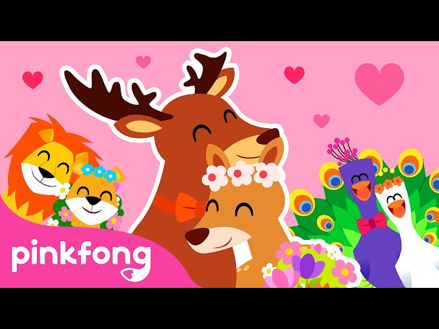 Will You Marry Me? | Storytime with Pinkfong and Animal Friends | Cartoon | Pinkfong for Kids